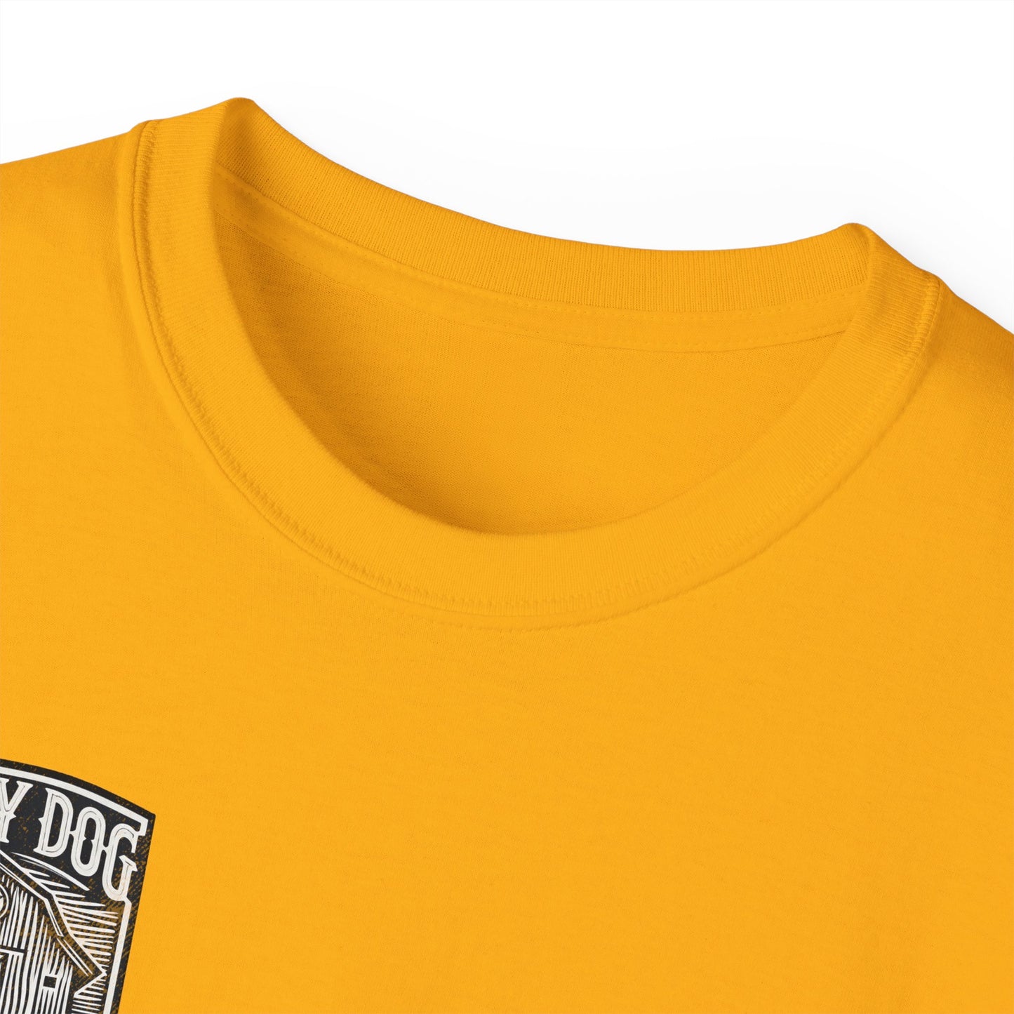 Lucky Dog Guitars 2024 BACK print Barn Built Eagle T-shirt Tennessee Custom Band Country Music Election USA