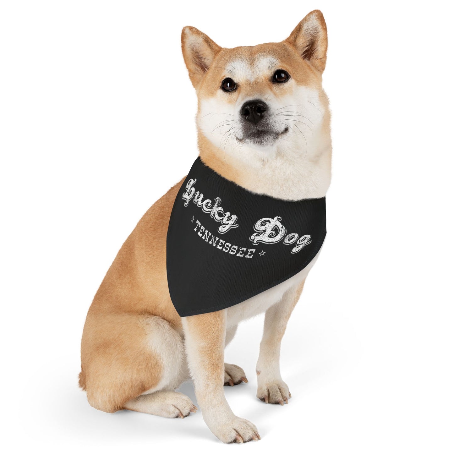 Lucky Dog Guitars - Pet Bandana Collar - We love dogs here and figured why not make something for your furry critters! 3 sizes