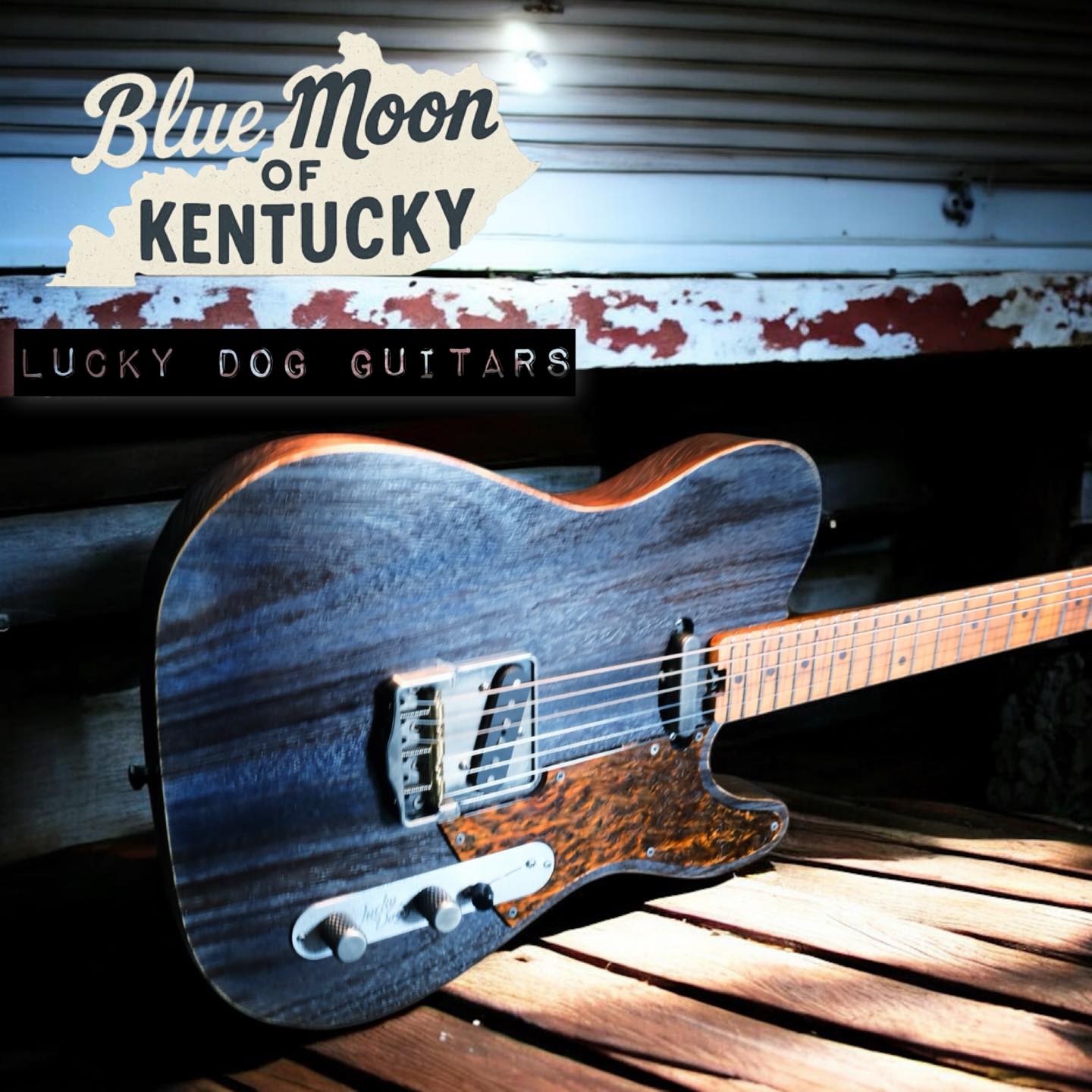 Lucky Dog Guitar Public Sale - BLue Moon Of Kentucky