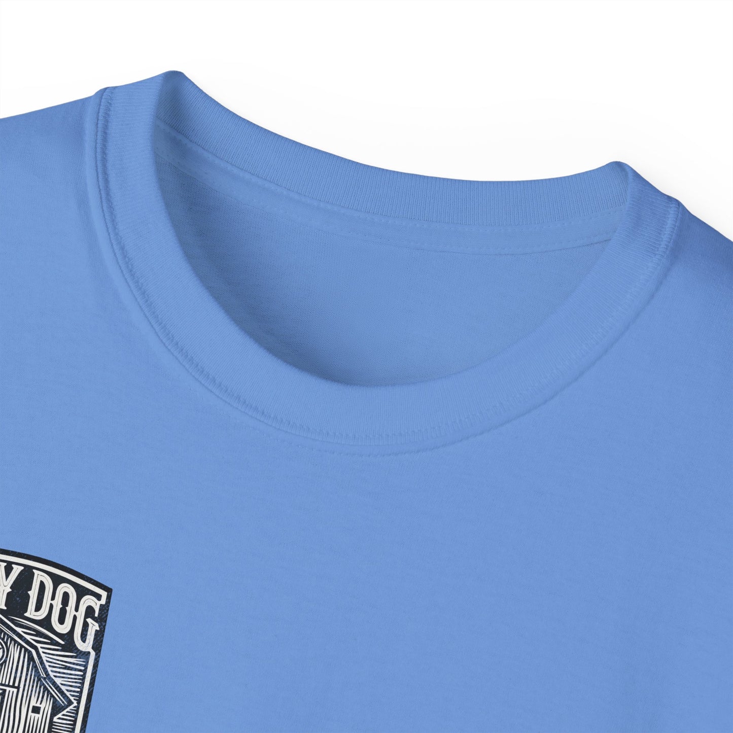 Lucky Dog Guitars 2024 BACK print Barn Built Eagle T-shirt Tennessee Custom Band Country Music Election USA