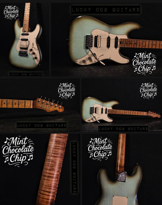 Lucky Dog Guitar (custom listing for Terry Long - Mint Chocolate Chip)