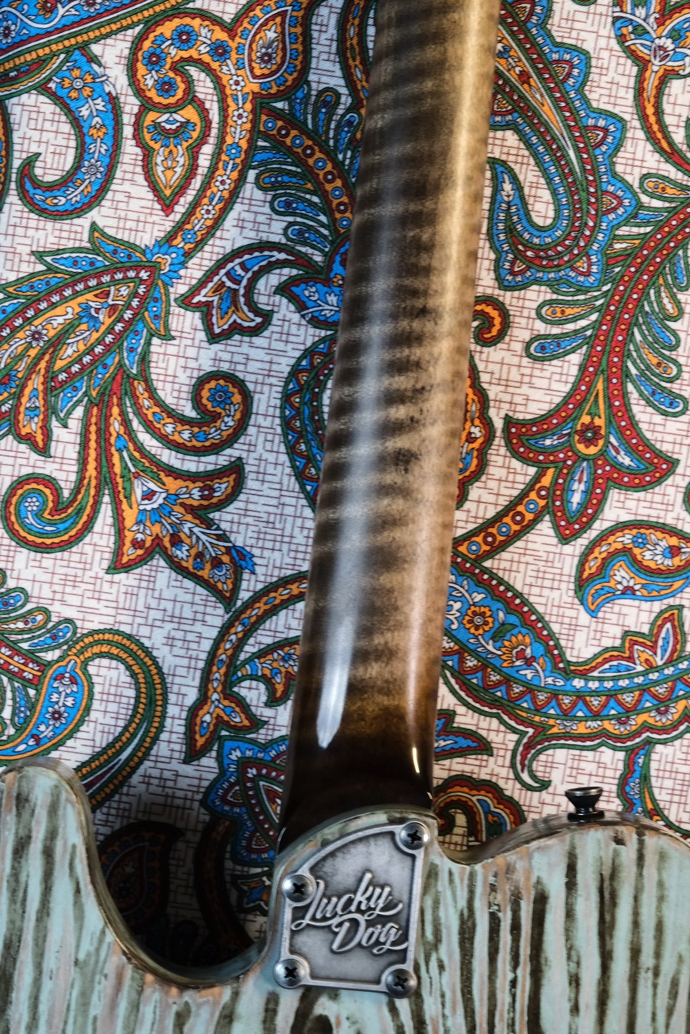 Lucky Dog Evangelist Guitar Swamp Thang - Electric Guitar - Handmade in Tennessee