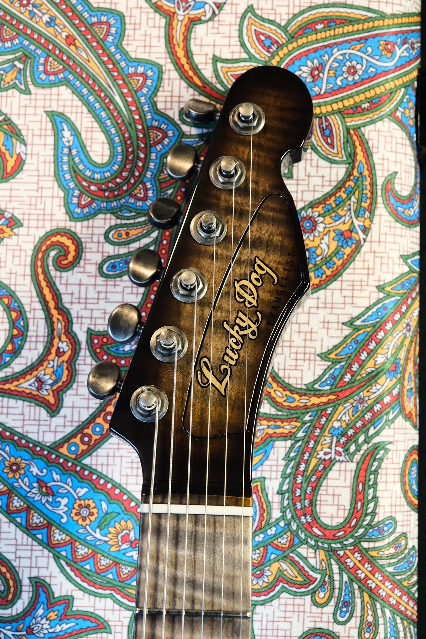 Lucky Dog Evangelist Guitar Swamp Thang - Electric Guitar - Handmade in Tennessee